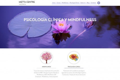 diseño web metta centre psicologia clinica mindfulness 01
